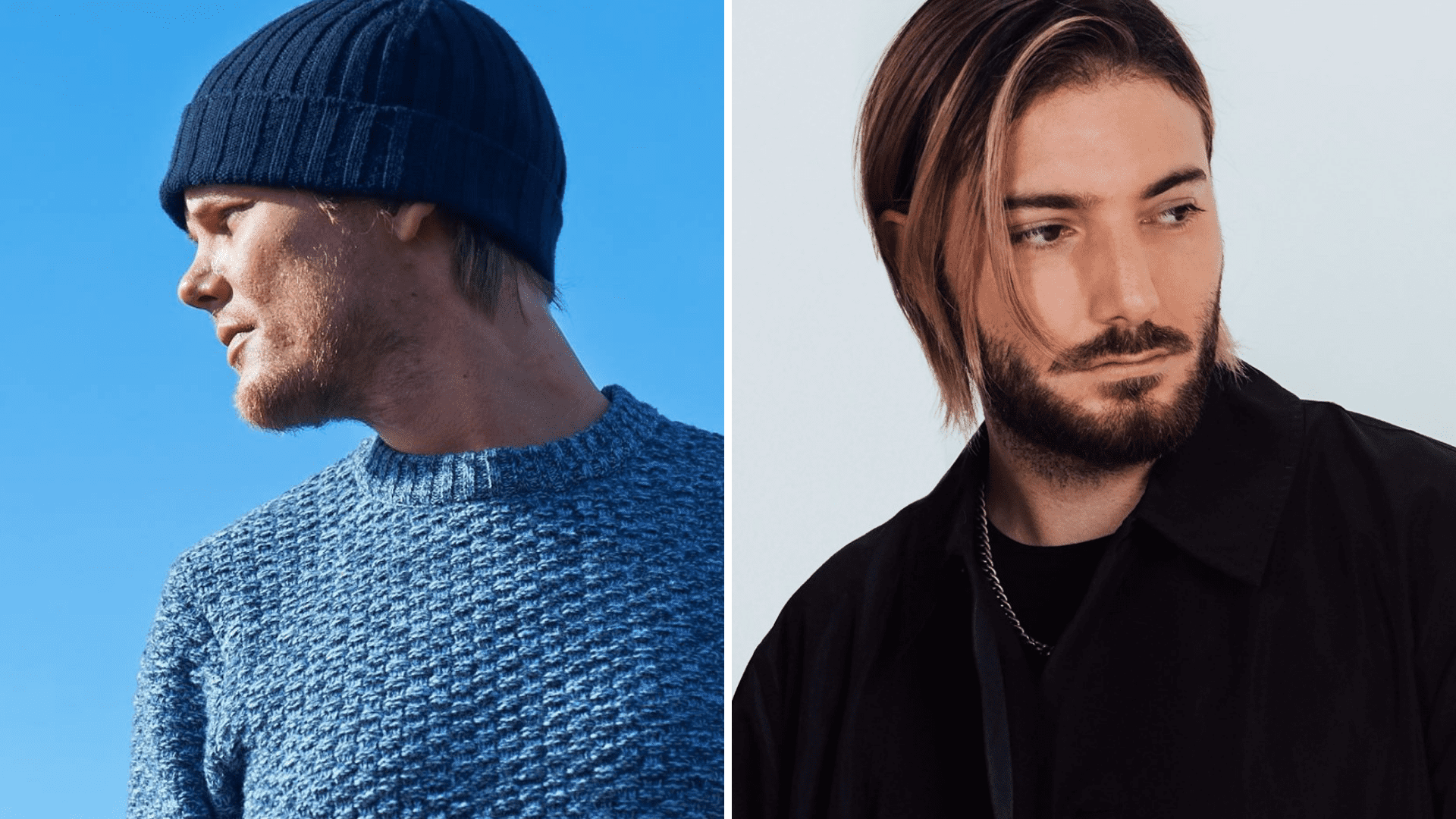 Alesso and many more partner up with the Tim Bergling foundation
