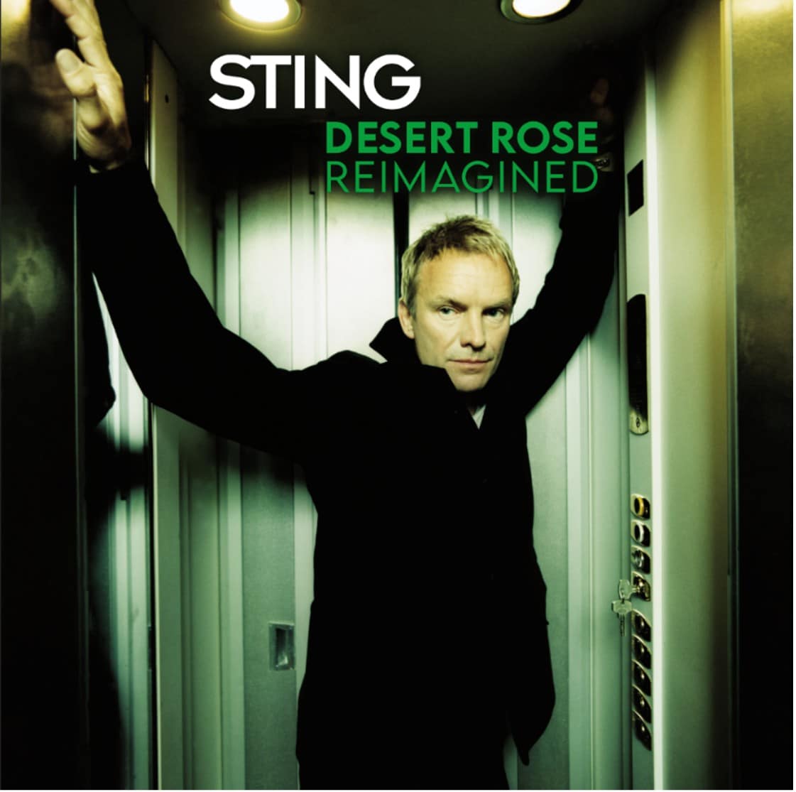 Stingが「Desert Rose Reimagined」EPをリリース、Bedouin、Zakes Bantwini、Darqueによるリミックスを収録:リッスン